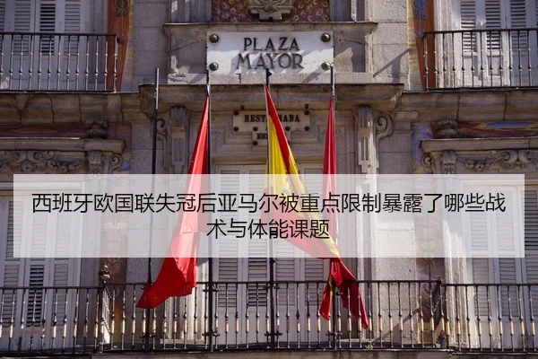 xi-ban-ya-ou-guo-lian-shi-guan-hou-ya-ma-er-bei-zhong-dian-xian-zhi-bao-lu-le-na-xie-zhan-shu-yu-ti-neng-ke-ti-2-420.jpg