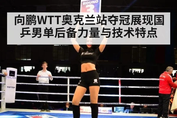 向鹏WTT奥克兰站夺冠展现国乒男单后备力量与技术特点