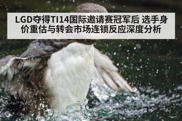 LGD夺得TI14国际邀请赛冠军后 选手身价重估与转会市场连锁反应深度分析